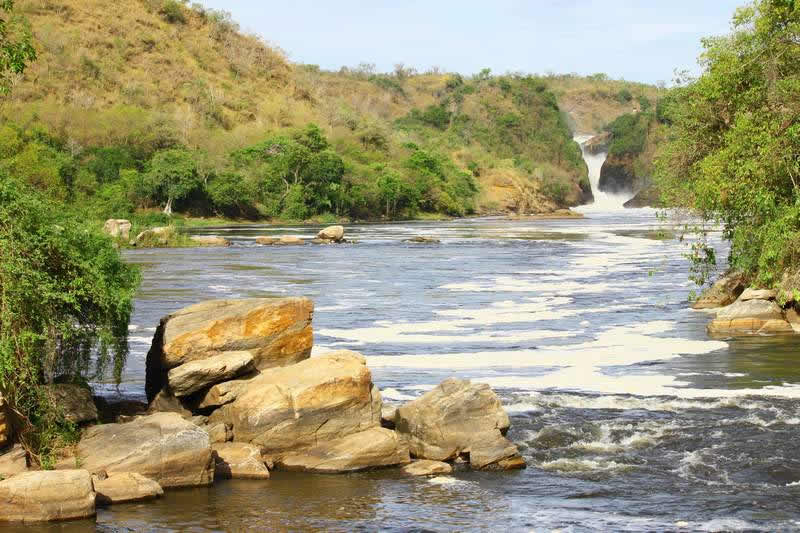 A safari in Uganda