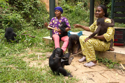 A safari in Congo