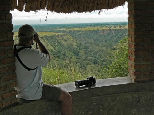 Chimp tracking in Kyambura Gorge