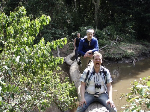 Chimp trekking in Kyambura Gorge