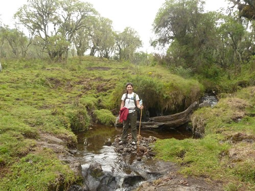 Hike Mount Karisimbi