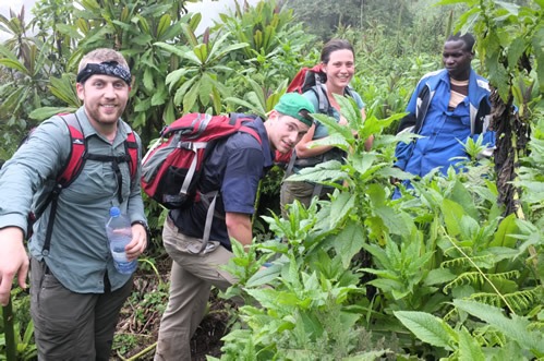 Hiking mount Bisoke Volcano