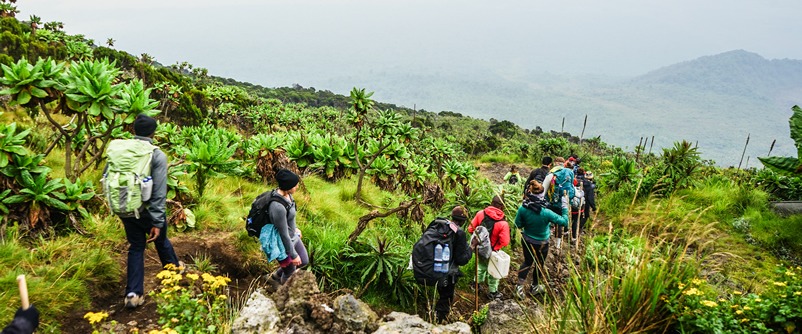 Hiking mount Nyiragongo Volcano
