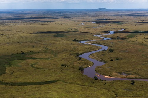 Safaris in Congo