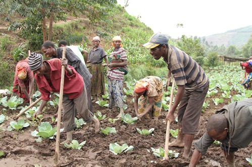 The Batwa cultural experience in Bwindi