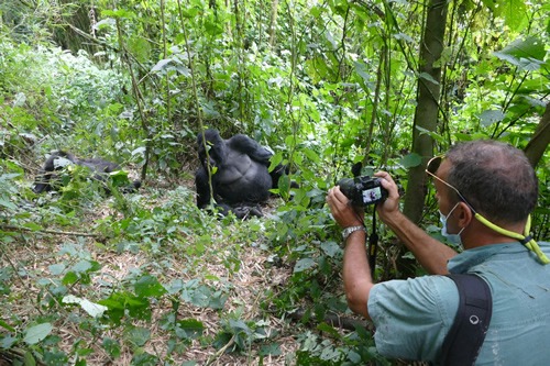 The cost of gorilla trekking in Virunga