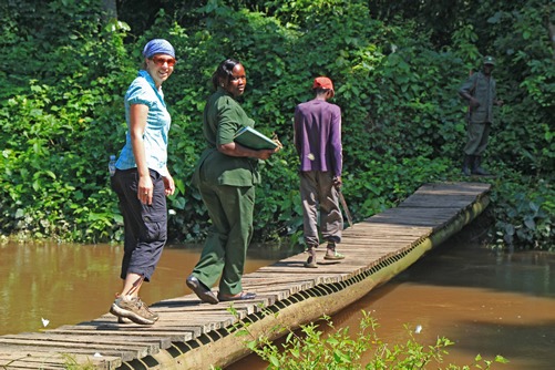 Tracking Chimpanzees in Kyambura Gorge