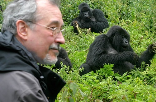2 days gorilla tour in Uganda