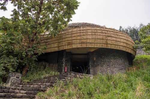 2 days Rwanda gorilla safari