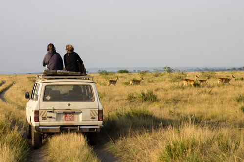 Activities in Queen Elizabeth National Park