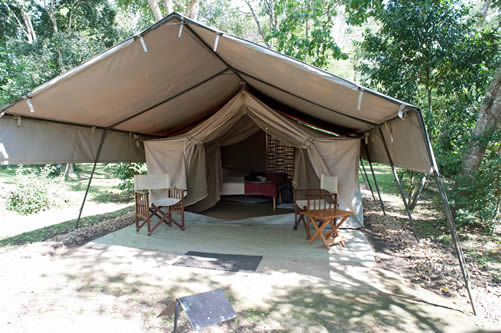 Best things to do in Queen Elizabeth National Park Uganda