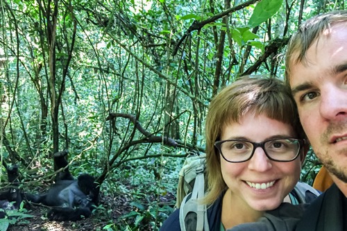 Bwindi gorilla trekking