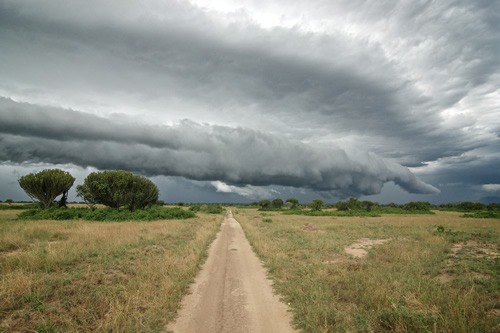 Queen Elizabeth National Park