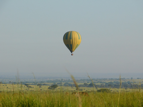 Safaris in Murchison Falls National park