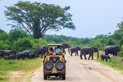 Things to do in Queen Elizabeth National Park