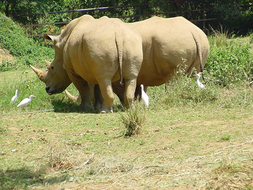 Attractions in Entebbe