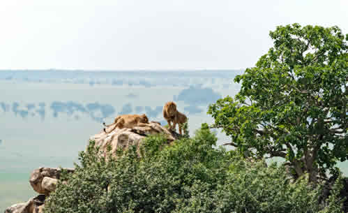 Best national parks in Uganda