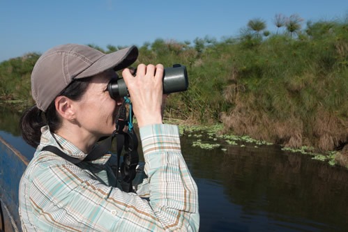 Birdwatching in Mabamba swamp