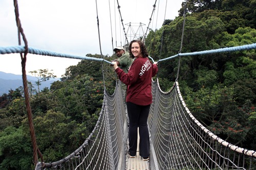 Chimpanzee trekking in Nyungwe National Park