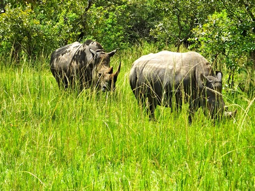 Destinations in Uganda