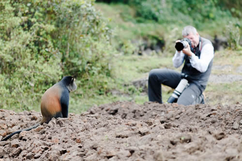 Golden monkey trekking