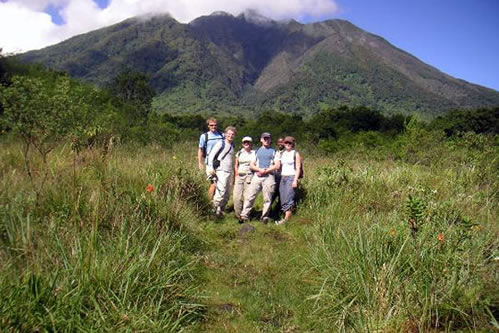 Gorilla Tracking in Mgahinga