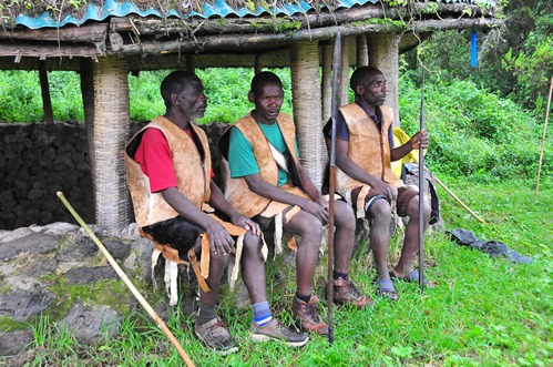 Gorilla trekking in Mgahinga gorilla national park