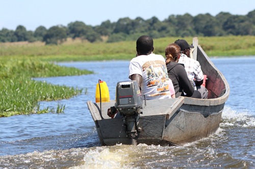 Mabamba Swamp Tours in Uganda – Birdwatching and Shoebills