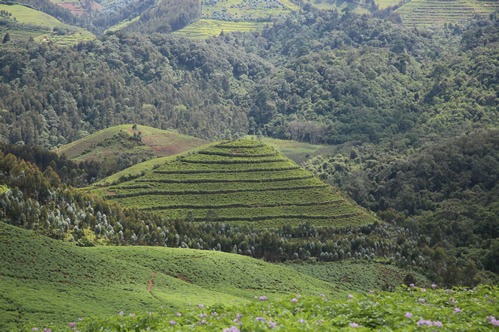 National Parks in Rwanda