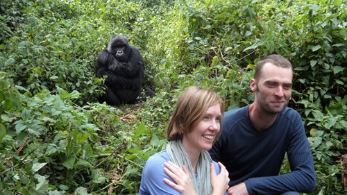 The cost of gorilla trekking in Congo