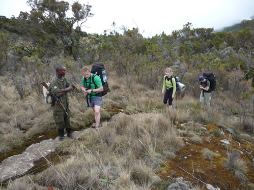 The top national parks in Uganda