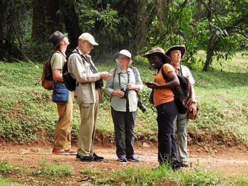 Top attractions in Entebbe