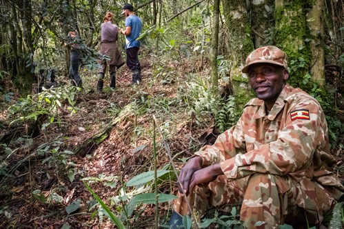 3 days gorilla habituation experience tour