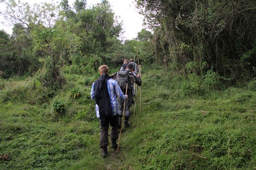 3 days gorilla trekking in Mgahinga