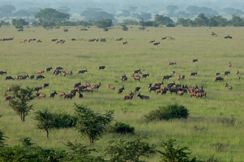 3 days Queen Elizabeth National Park safari