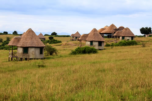 3 days tour in Queen Elizabeth National Park