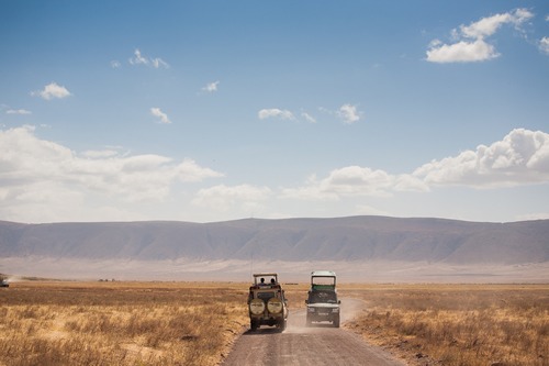 6 days Ngorongoro safari and gorilla trekking