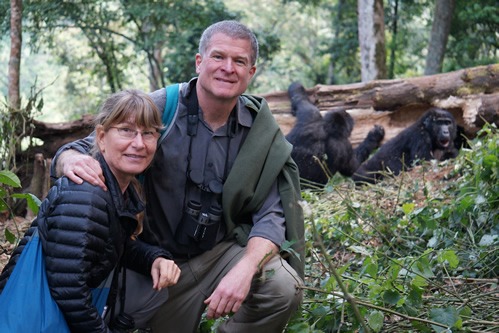 Gorilla habituation experience in Bwindi forest