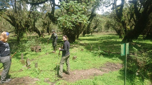 3 days Dian Fossey tomb visit and gorilla trekking