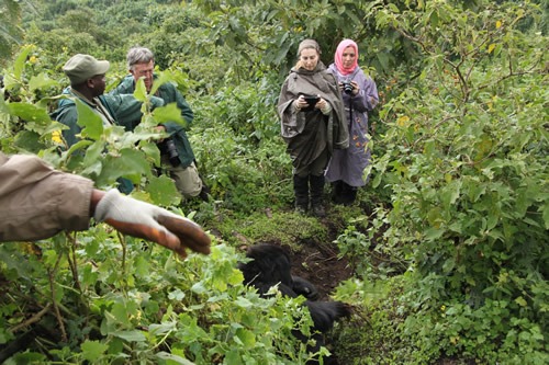 3 days gorilla safari and Dian Fossey tour