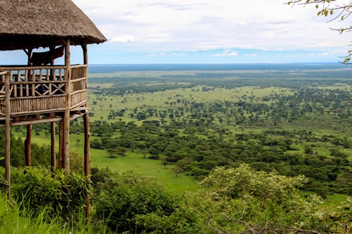 4 day Queen Elizabeth National Park Safari