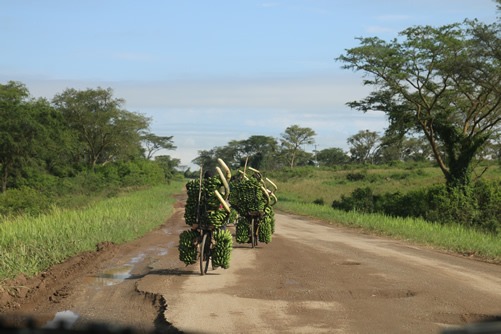 4 days Murchison Falls Wildlife safari