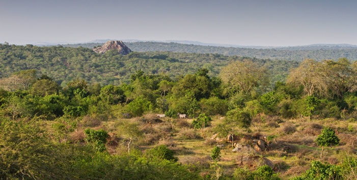12 days Uganda safari