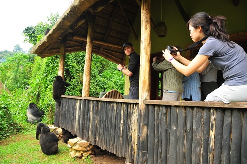 8 days Uganda wildlife safari