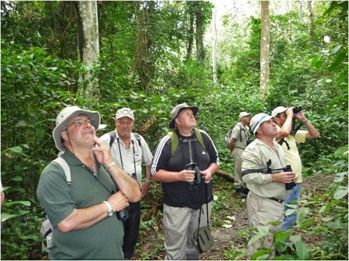 Birding in Uganda