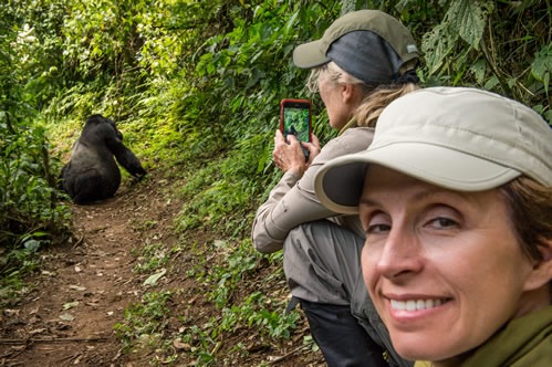 Gorilla Trekking in Bwindi Impenetrable National Park