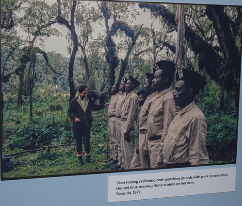 Dian Fossey grave hike