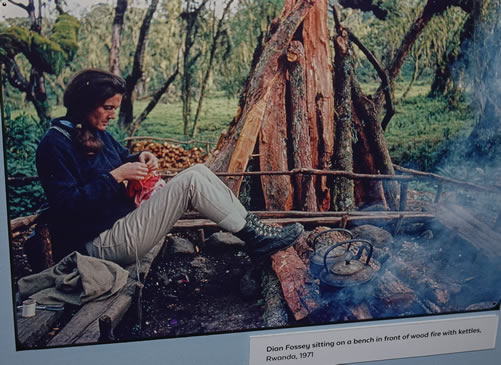 Dian Fossey Tomb Hike and Visiting the Karisoke Research Center