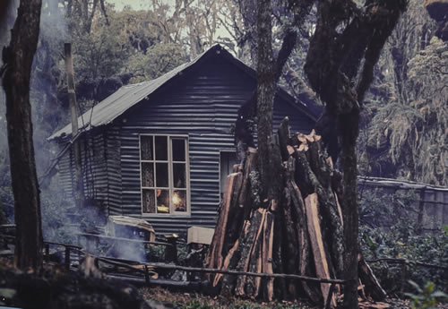 Dian Fossey tomb trek