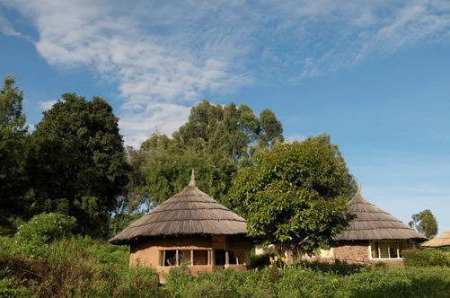 Gorilla tracking in Bwindi forest